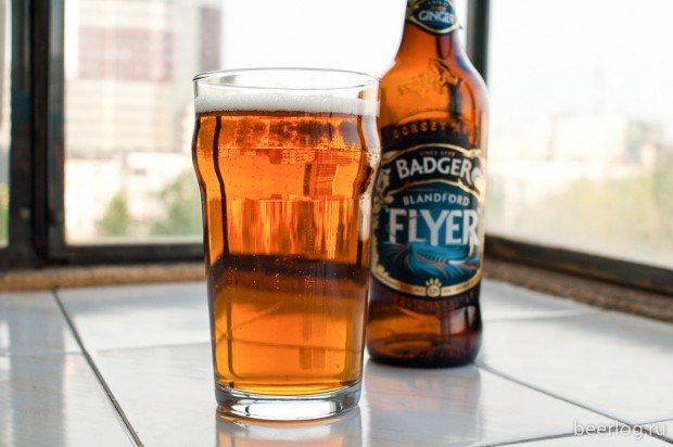 Badger Blandford Flyer