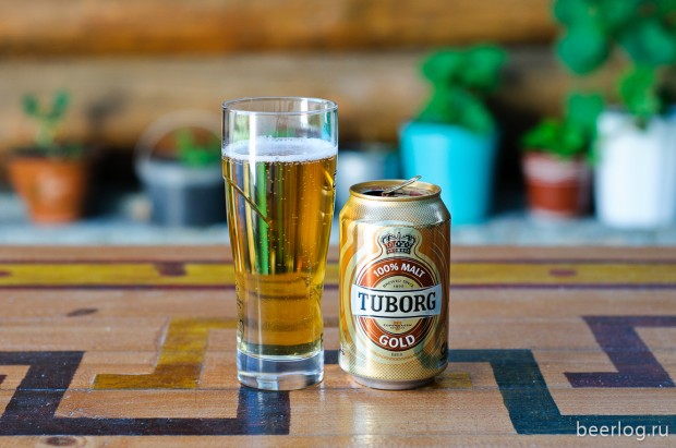 Tuborg Gold