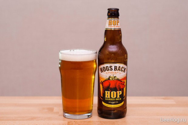 Hogs Back HOP Garden Gold