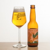 Крафтовый понедельник: Mikkeller Ginger Brett IPA