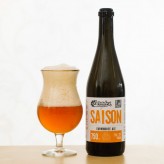 Paradox Saison