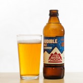 Redhook Audible Ale