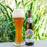 Schneider Weisse Tap 4 Mein Grünes