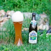 Schneider Weisse Tap 5 Meine Hopfenweisse